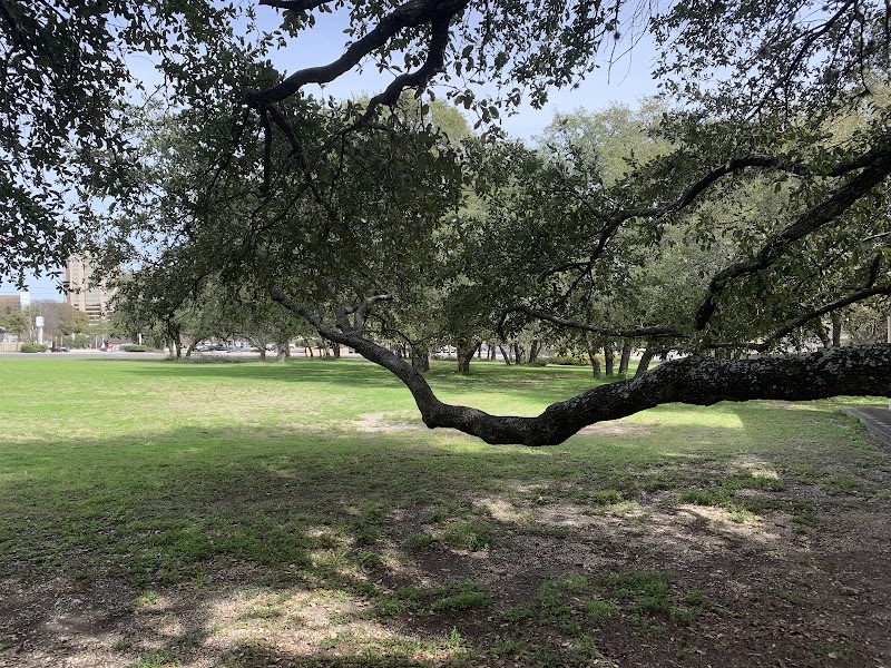 International Refugee Community Garden
