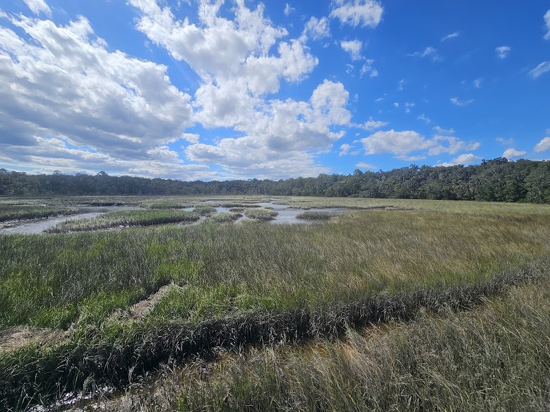 Wildlife Observation Stand