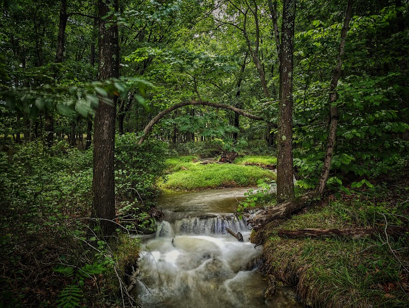 Serpentine Barrens Conservation Park
