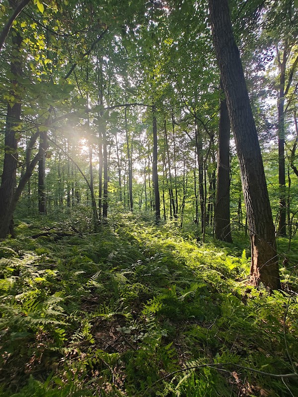 P. Joseph Raab Park