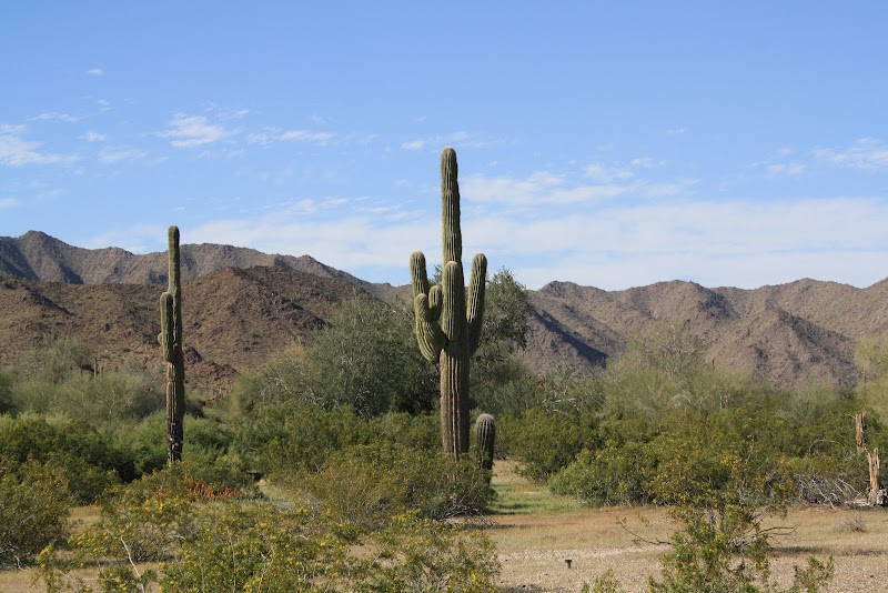 Margie's Cove West Trailhead