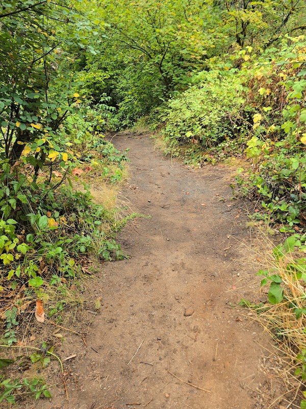 Lacamas park lower falls trail