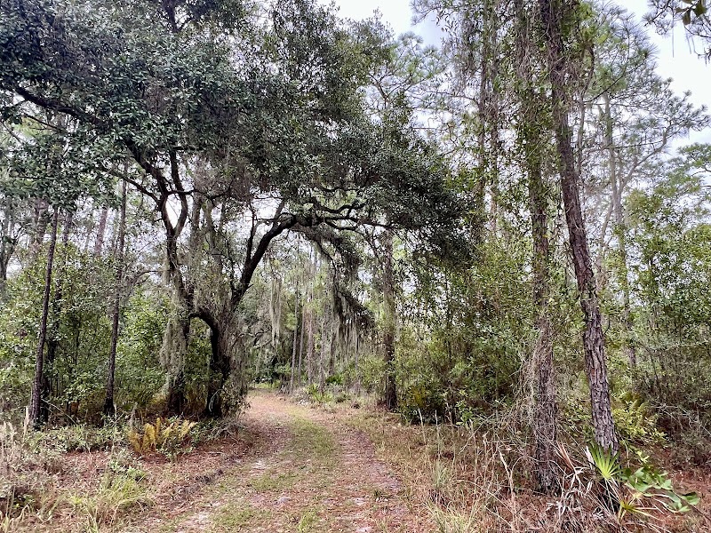 Bullfrog Creek Wildlife & Environmental Area