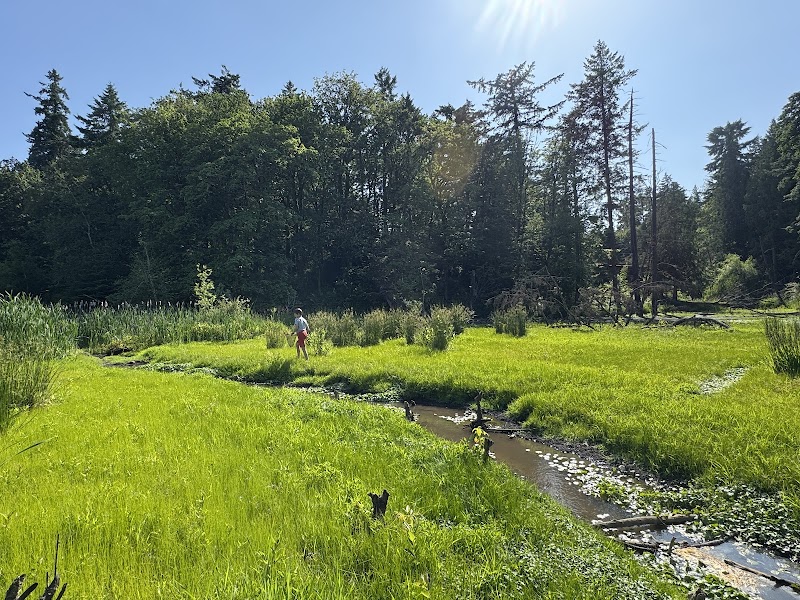 Raleighwood Wetlands Natural Area