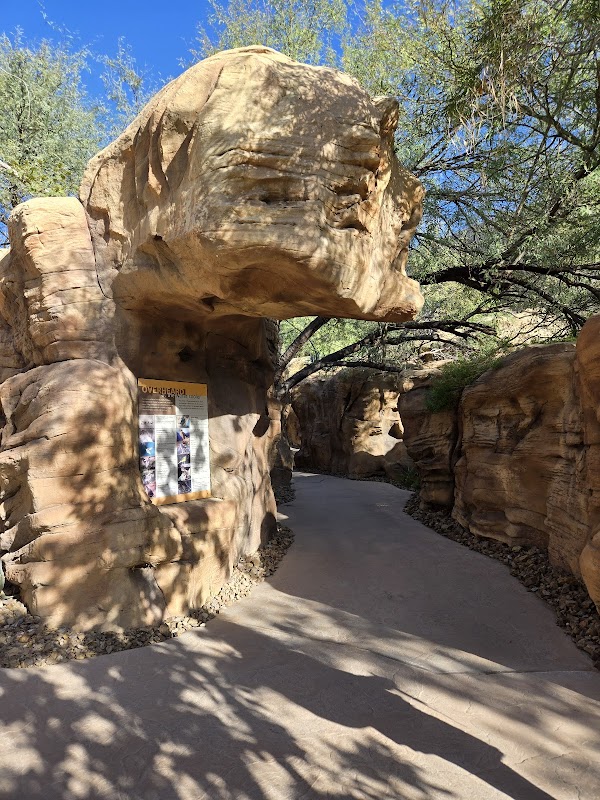 Free Bench at Springs Preserve
