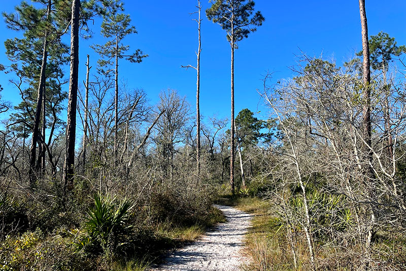 Black Creek Ravines Trailhead