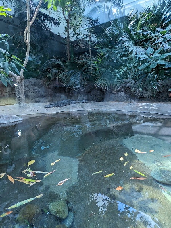 Schlessman Family Foundation Tropical Discovery