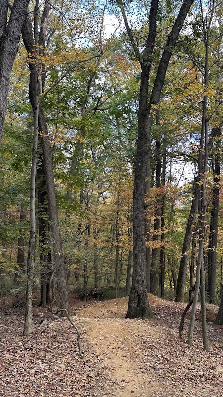 Mount Penn Gravity Railroad