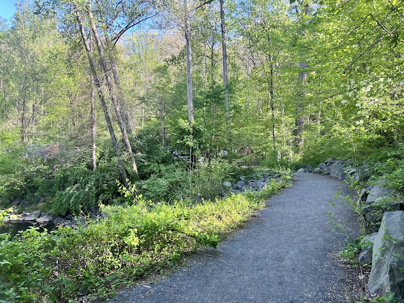 Difficult Run Stream Valley Park