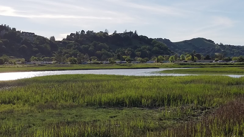 Santa Margarita Island