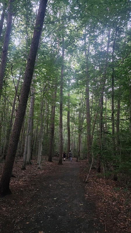 Neabsco Greenway Trail Head