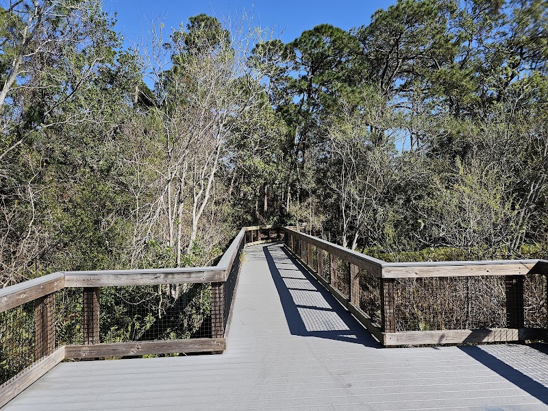 Wetland Observation Deck