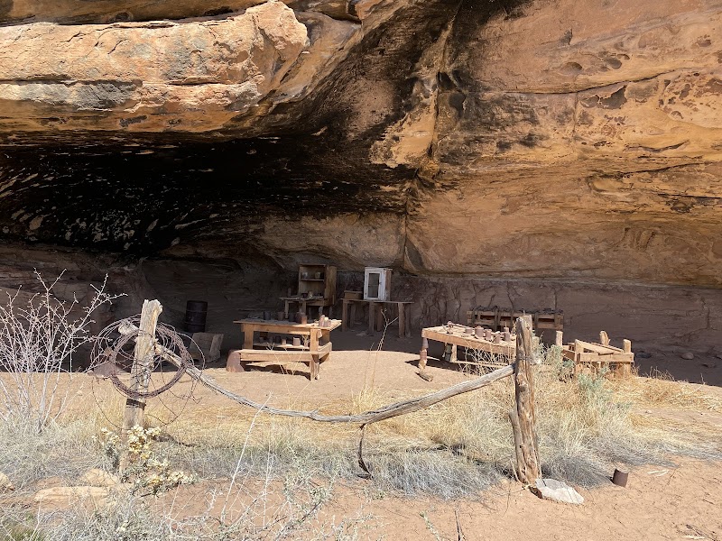 Canyonlands' Cave Spring Trail