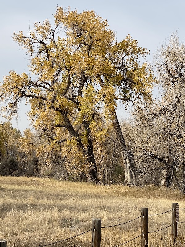 Star K Ranch Wetland Trail