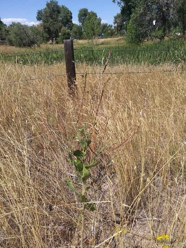 Star K Ranch Wetland Trail