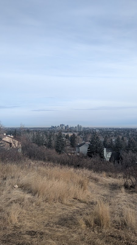 Strathcona Park Viewpoint