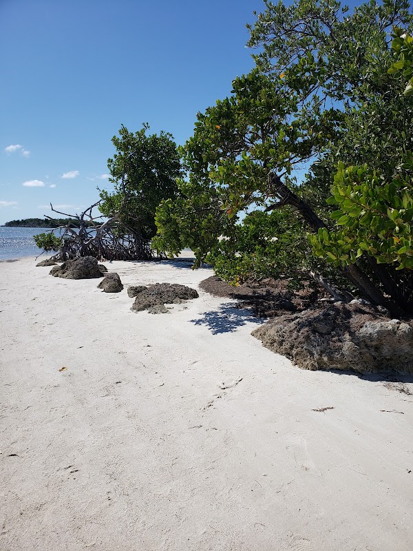 Curry Hammock State Park