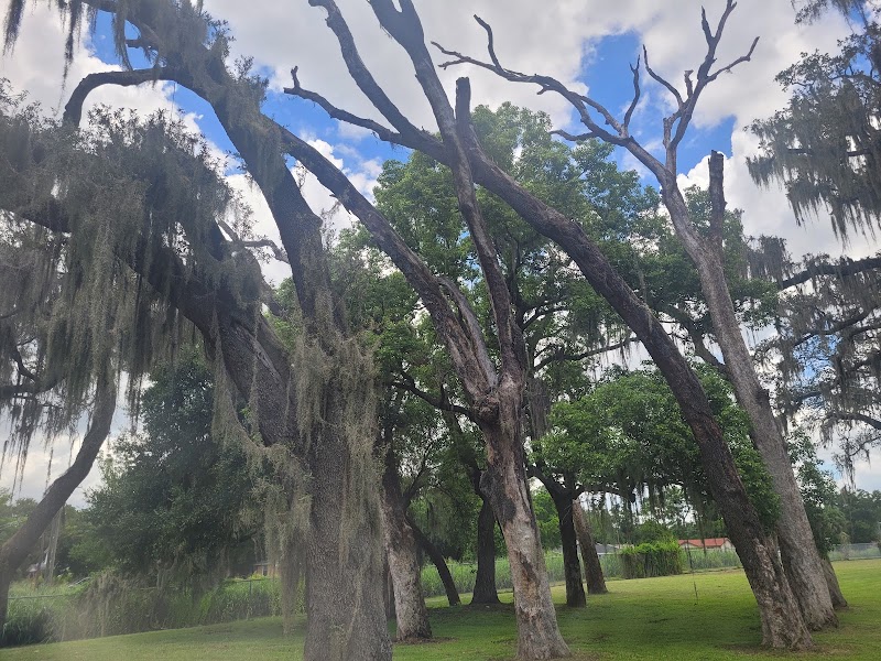 Alfred "Al" Barnes Park