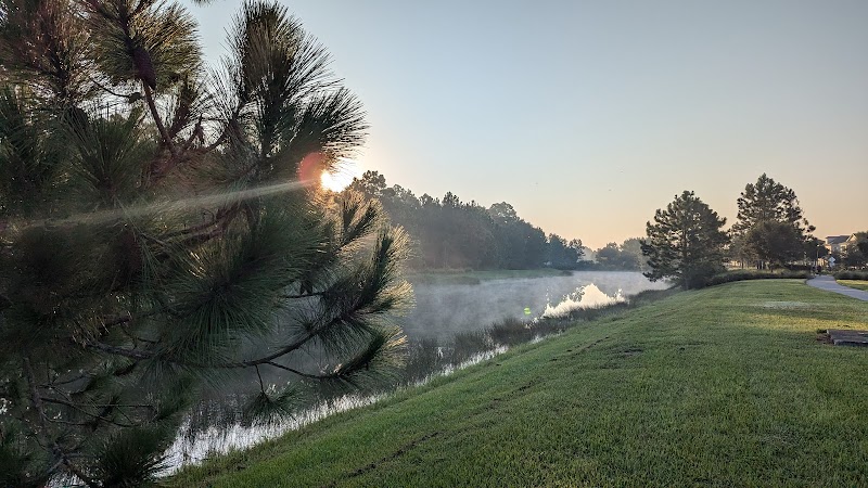 Trailmark Timberline Trail Trailhead