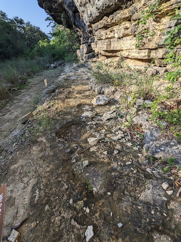 Dinosaur Tracks in Government Canyon