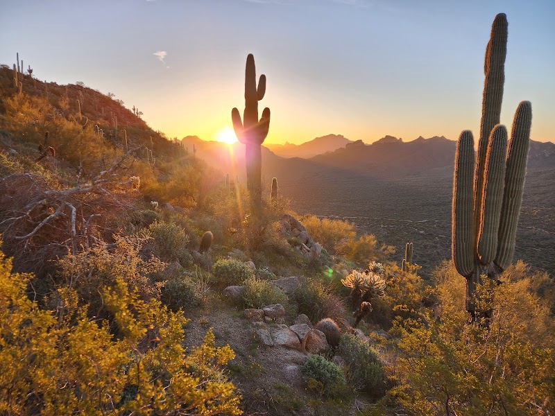 EJ Peak (Lone Mountain)