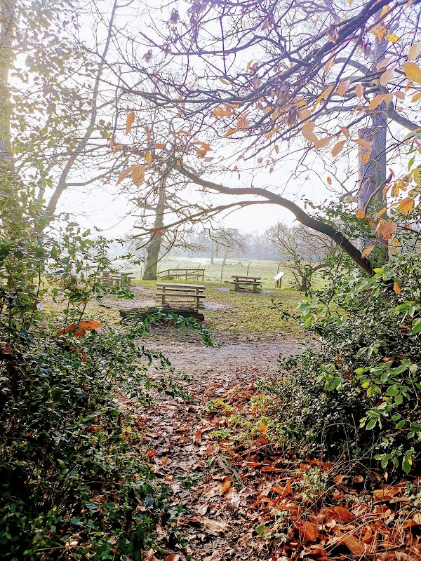 Scouts Centenary Garden
