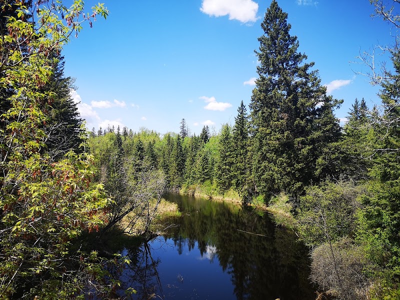 Wedgewood Ravine Trail Head/ Wedgewood Heights access
