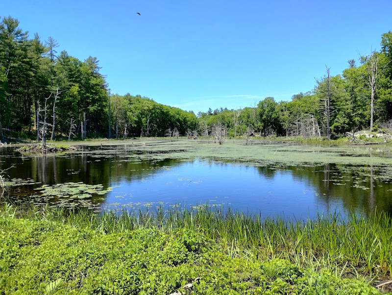 Lubberland Creek Preserve