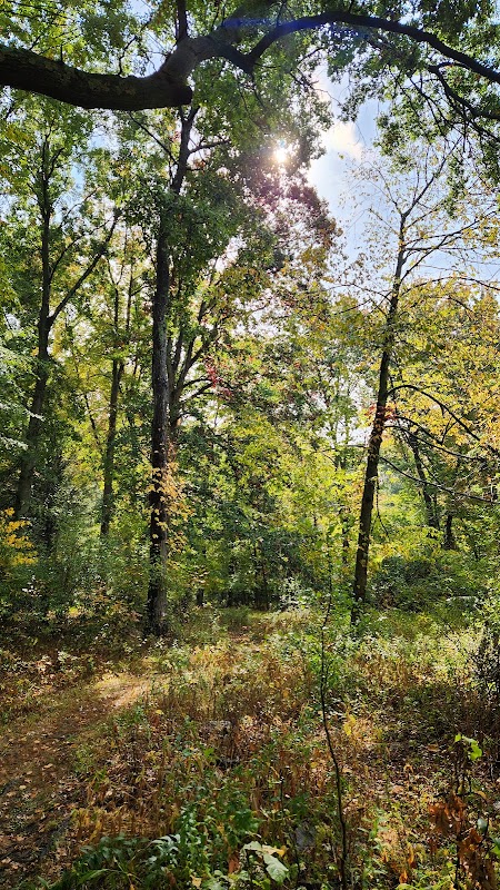 Aspetuck Land Trust: Butkus Pond Preserve