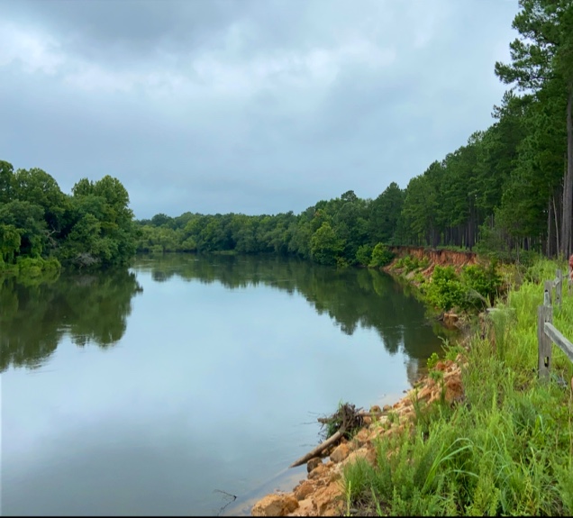 Audubon's Silver Bluff Sanctuary