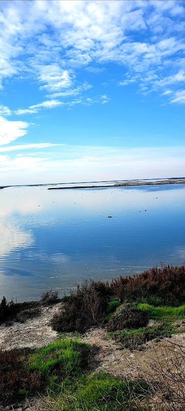 Mallard Slough Trail