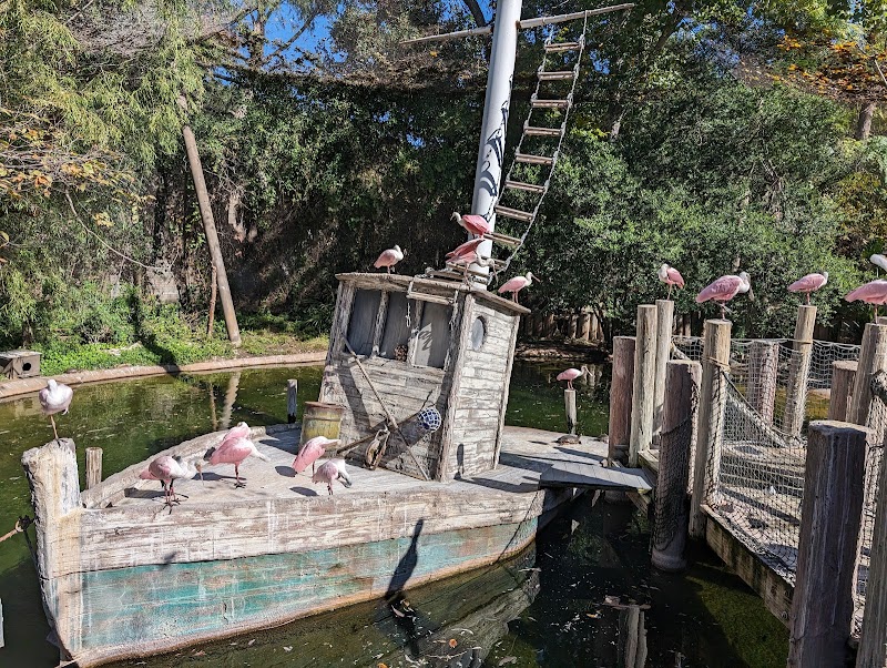 Gulf Coast at Fort Worth Zoo