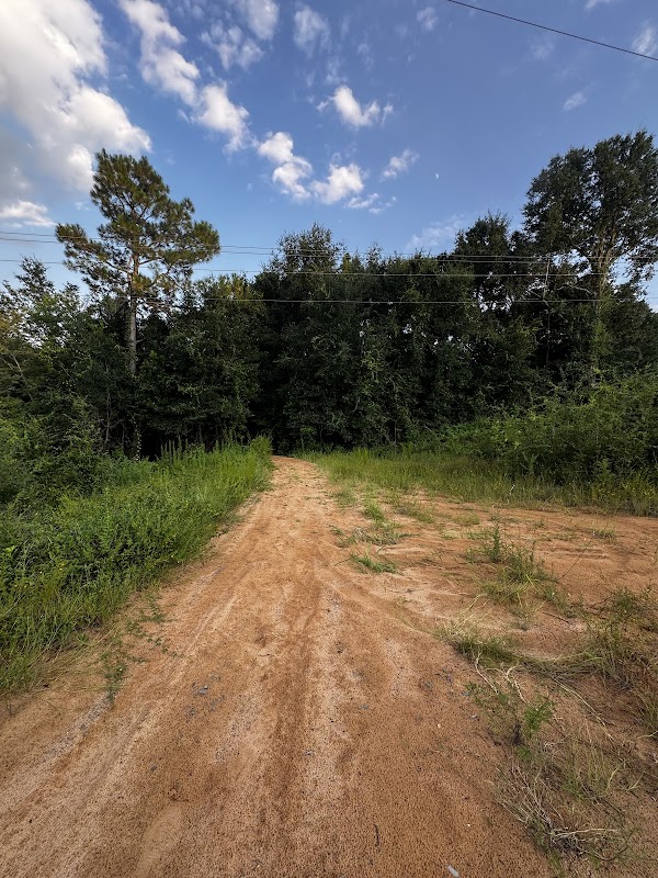 Off Road Trails- Marcus, Bayou