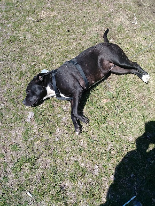 Merrill (George) Park