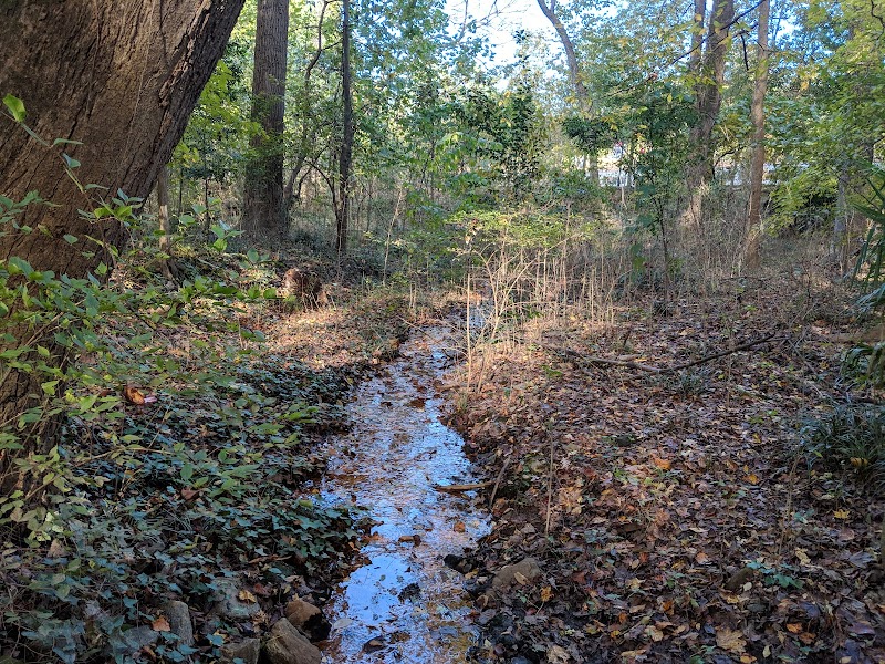 Six Springs Wetlands