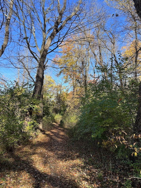 Morris Canal Greenway Trail
