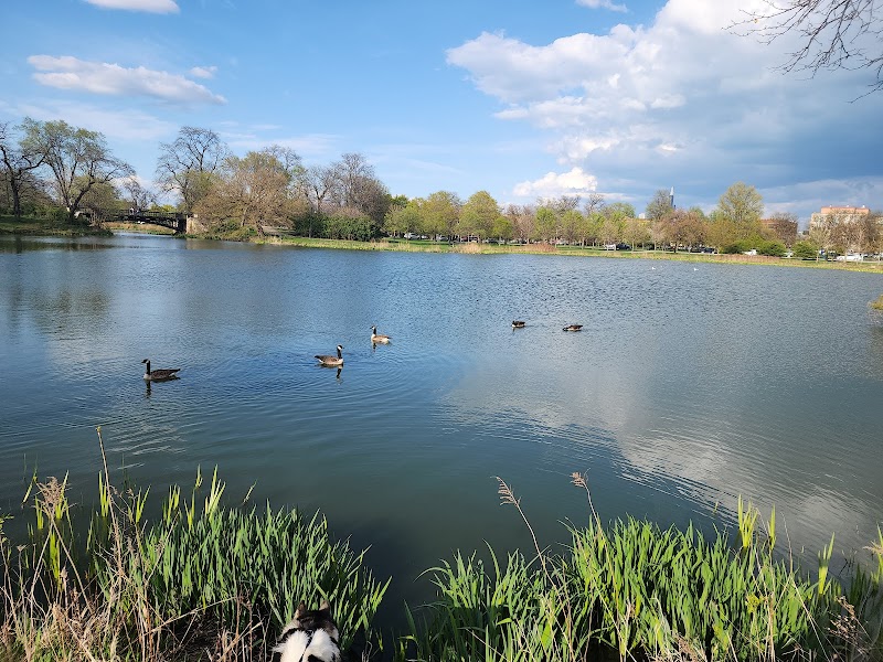 Douglass (Anna & Frederick) Park