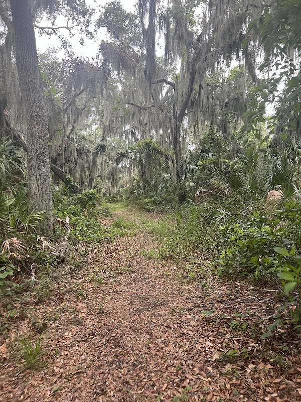 Terra Ceia Preserve trails