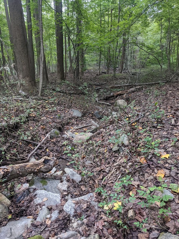 Grace Richardson conservatory area