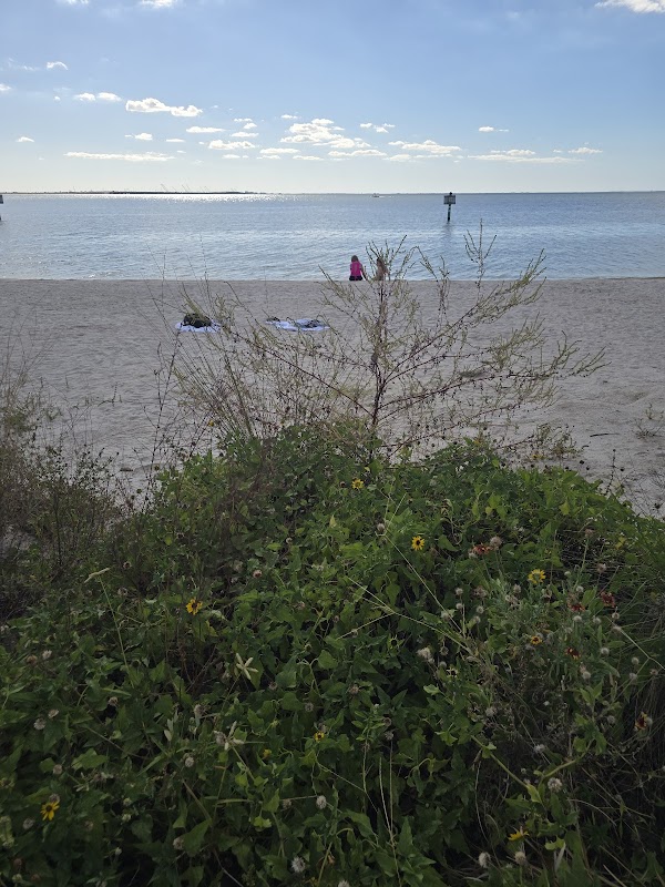 Cypress Beach Park Tampa Florida
