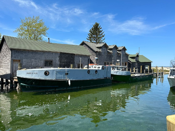 Dock of Swim for the Special Education