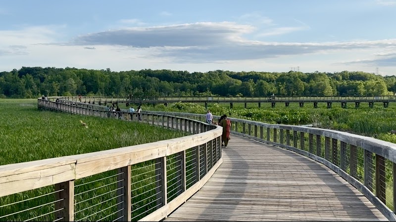 Neabsco Creek Boardwalk