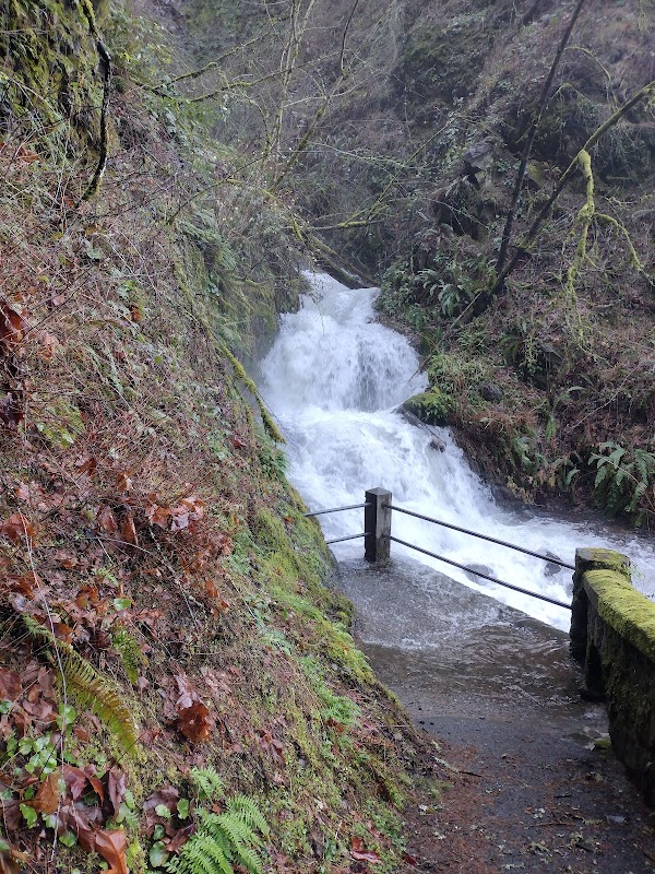 Shepperd's Dell Falls