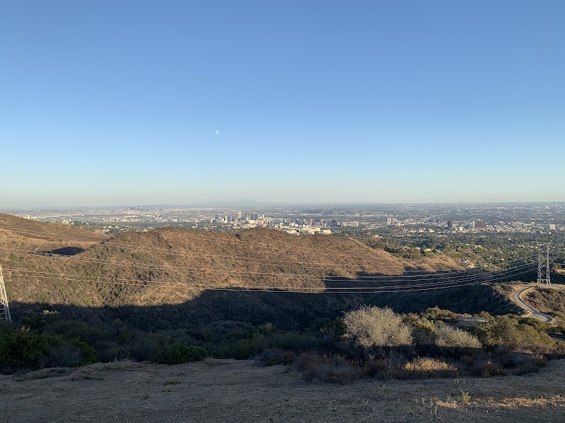 Canyonback Tree Swing