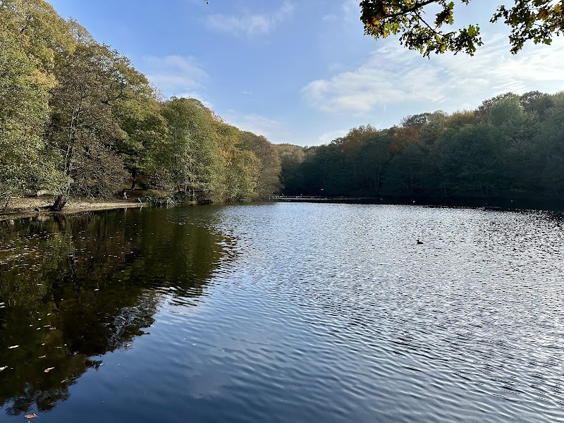 Queen's Mere