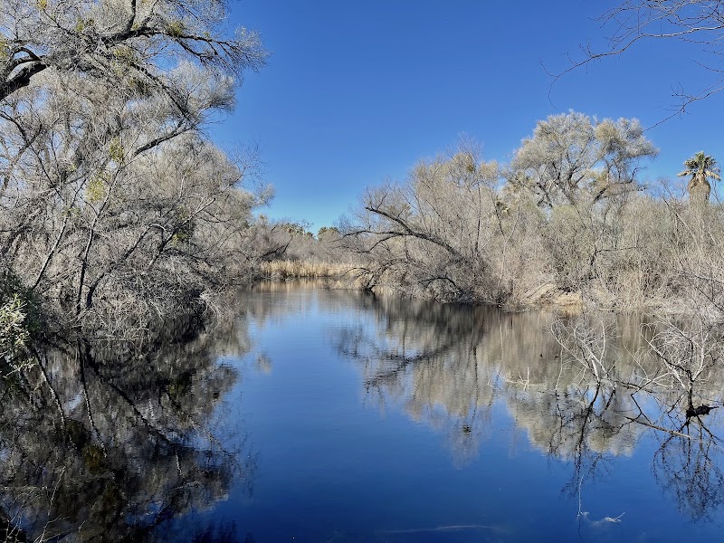 Hassayampa River Preserve