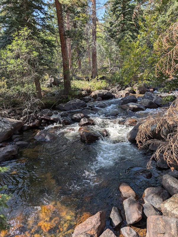 Tuxedo Park Picnic Area