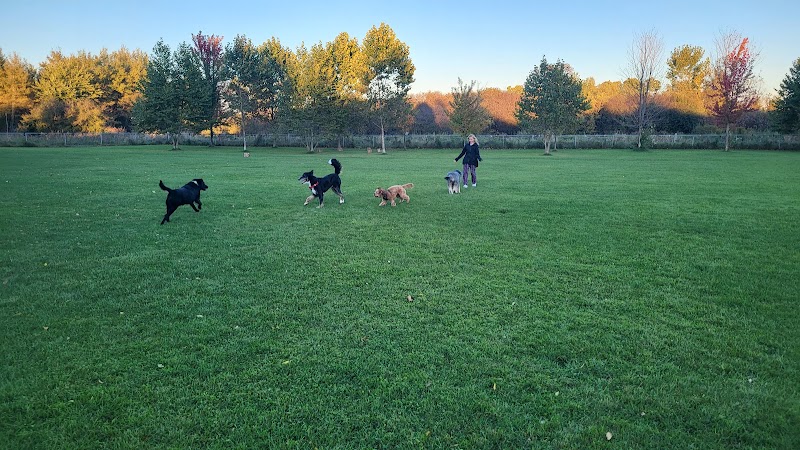 Woolwich Off Leash Dog Park