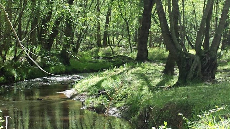 Sport of Horses Park