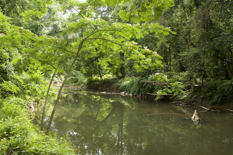 Ray’s Meadow Local Park